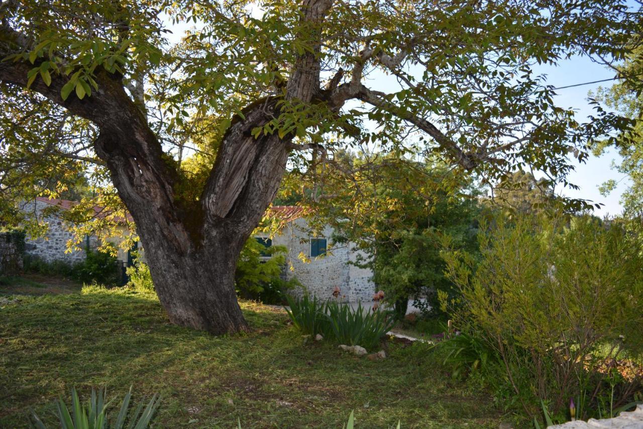 Casa Da Pedra Βίλα Anciao Εξωτερικό φωτογραφία